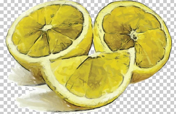 Lemon Orange Fruit PNG, Clipart, Citric Acid, Citron, Citrus, Citrus Junos, Download Free PNG Download