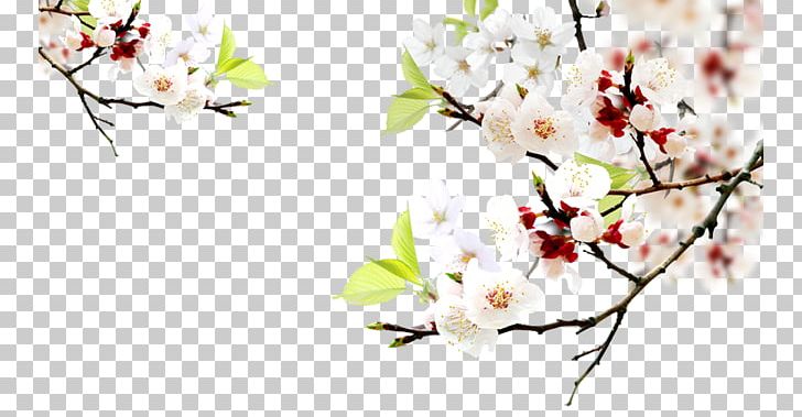 Flower Arranging White Painted PNG, Clipart, Black White, Branch, Computer Wallpaper, Encapsulated Postscript, Flower Free PNG Download