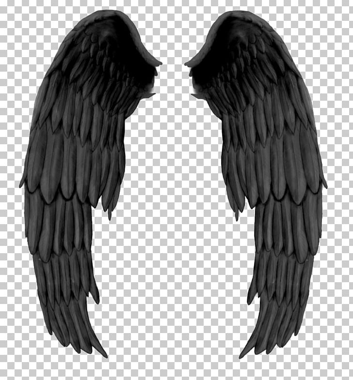 Wings PNG, Clipart, Wings Free PNG Download