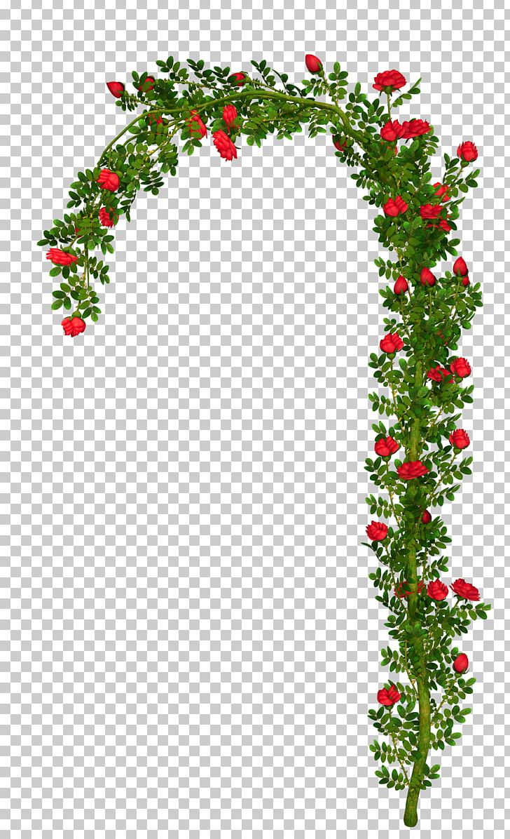 Arch Flower PNG, Clipart, Aquifoliaceae, Aquifoliales, Arch Bridge, Branch, Bushes Free PNG Download