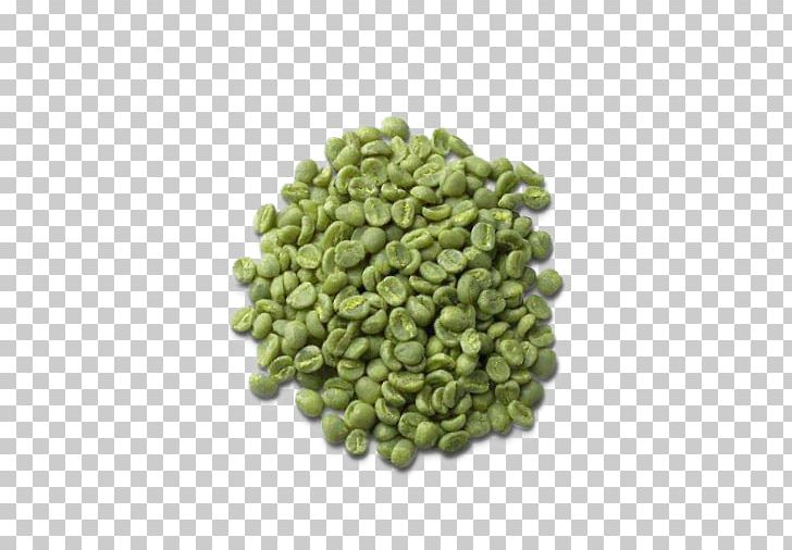 Coffee Bean Green Tea Mate Green Coffee Extract PNG, Clipart, Arabica Coffee, Bean, Beans, Caffeine, Coffea Liberica Free PNG Download