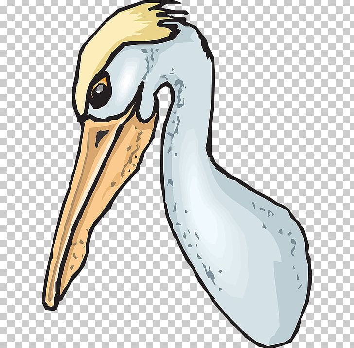 Duck Seabird Beak PNG, Clipart, American White Pelican, Animals, Artwork, Australian Pelican, Beak Free PNG Download