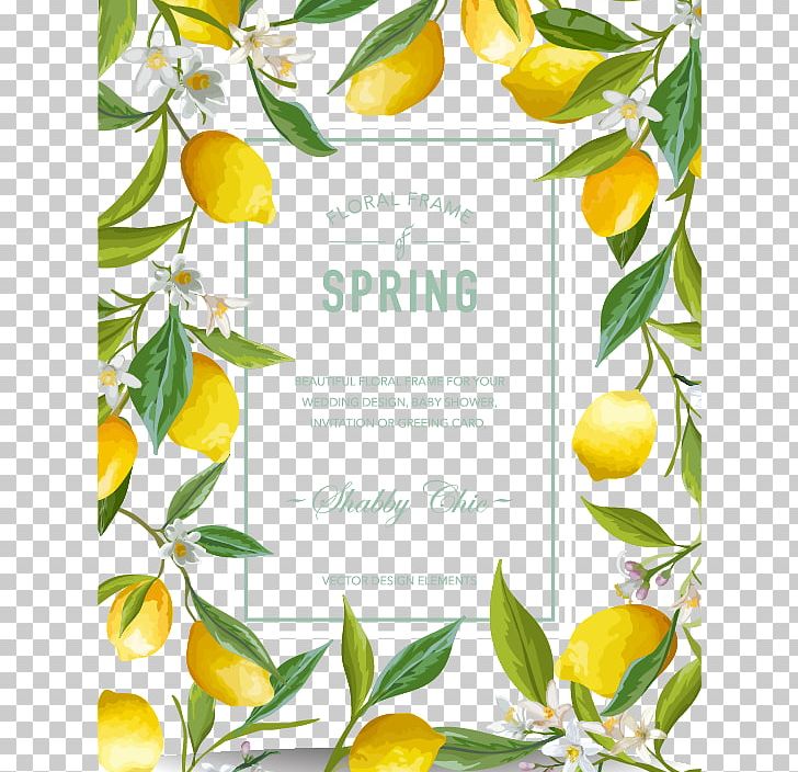 Lemon PNG, Clipart, Border, Border Frame, Branch, Certificate Border, Citrus Free PNG Download