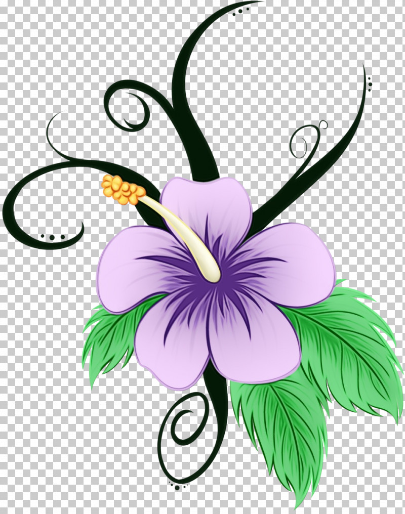 Flower Plant Hibiscus Petal Violet PNG, Clipart, Flower, Hawaiian Hibiscus, Hibiscus, Mallow Family, Paint Free PNG Download