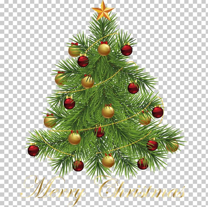 Christmas Tree Christmas Ornament PNG, Clipart, Artificial Christmas Tree, Christmas, Christmas Decoration, Christmas Frame, Christmas Lights Free PNG Download