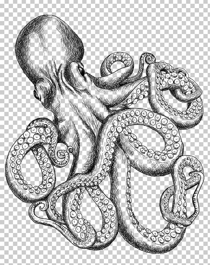 Octopus T-shirt Line Art Drawing Sketch PNG, Clipart, Art, Ask Me, Black And White, Bluza, Body Jewelry Free PNG Download