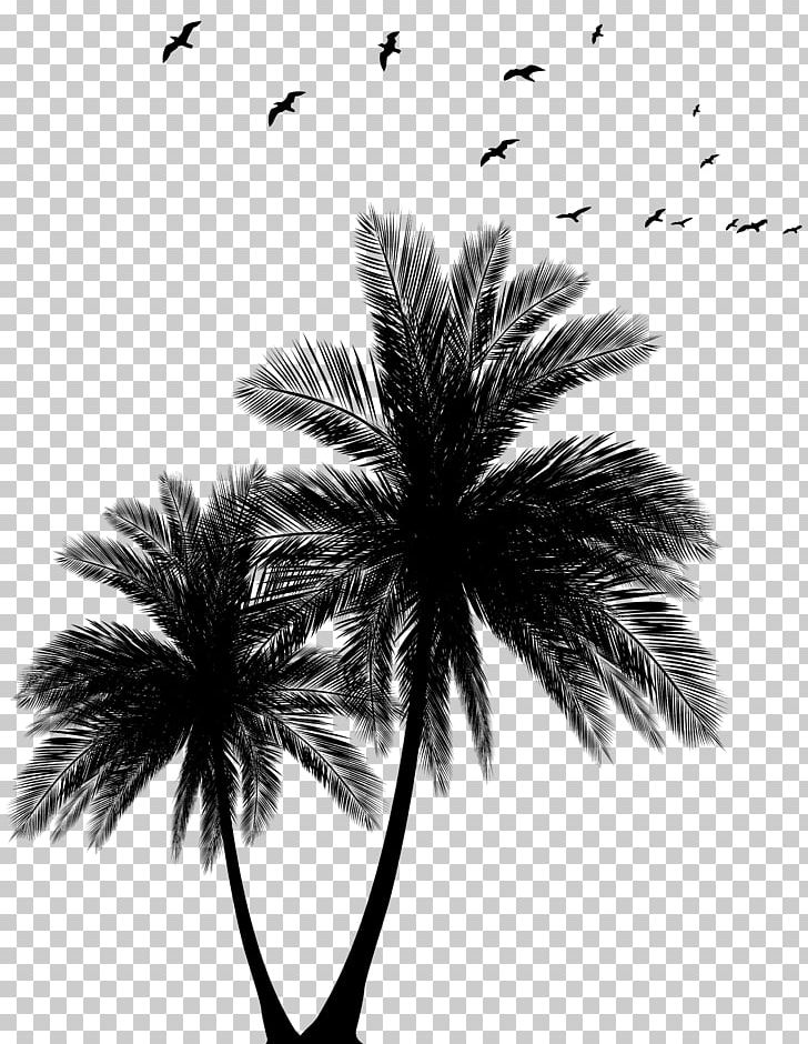 Sunset Arecaceae Euclidean Silhouette PNG, Clipart, Arecaceae, Arecales, Beach, Black, Black And White Free PNG Download