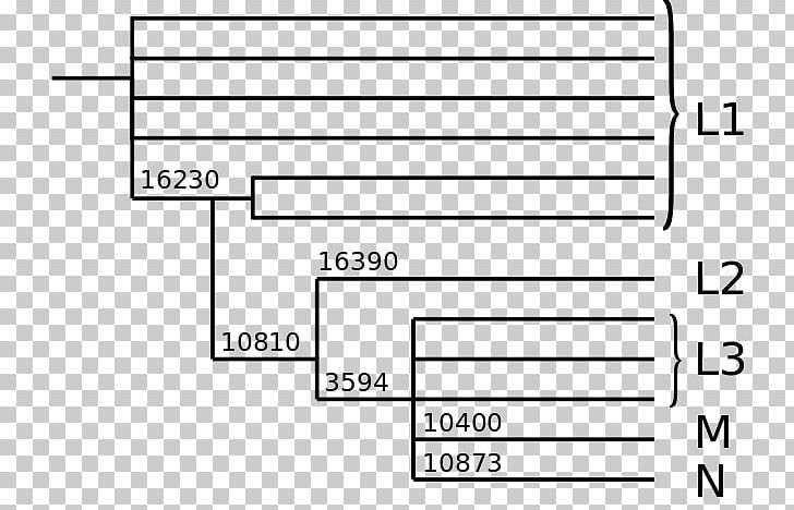 The Seven Daughters Of Eve: The Science That Reveals Our Genetic Ancestry Mitochondrial DNA Haplotype Mitochondrial Eve Haplogroup PNG, Clipart, Angle, Area, Black And White, Brand, Diagram Free PNG Download