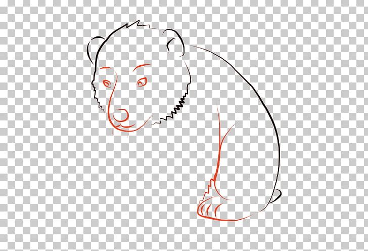 Whiskers Cat Drawing PNG, Clipart, Animals, Area, Bear, Canidae, Carnivoran Free PNG Download