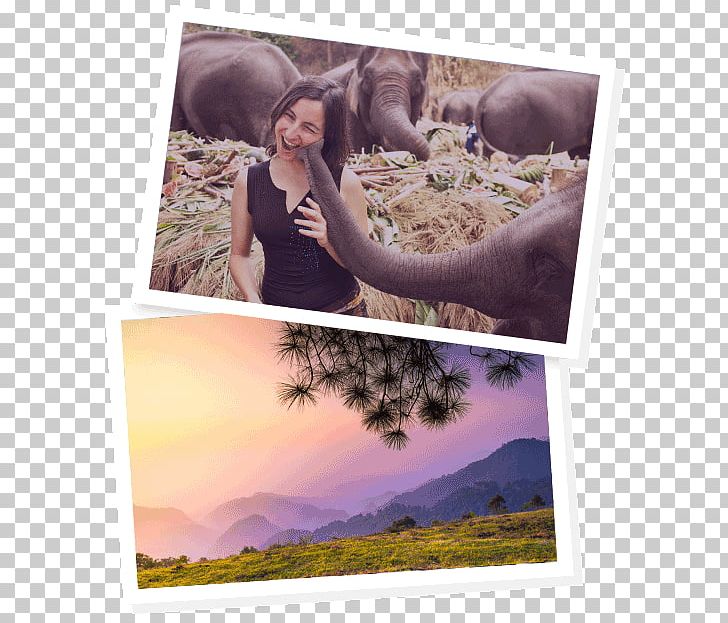 Chiang Mai Work And Travel USA Travel Visa Photomontage Frames PNG, Clipart, Chiang Mai, Experience, Photomontage, Picture Frame, Picture Frames Free PNG Download