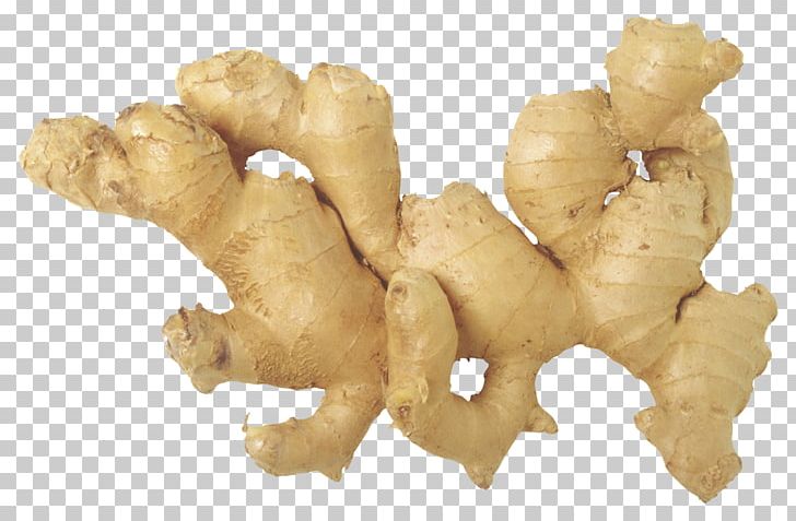 Ginger Tea Ginger Ale Chinese Cuisine Root Vegetables PNG, Clipart, Alpinia Galanga, Chinese Cuisine, Food, Galangal, Ginger Free PNG Download