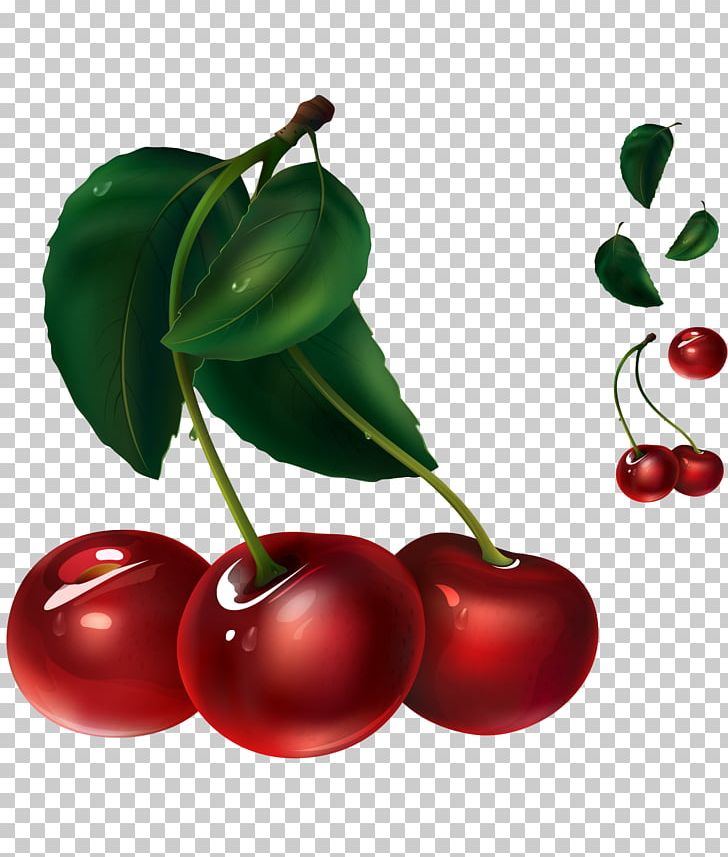 Juice Cherry Fruit Illustration PNG, Clipart, Carambola, Cherry, Encapsulated Postscript, Fall Leaves, Food Free PNG Download