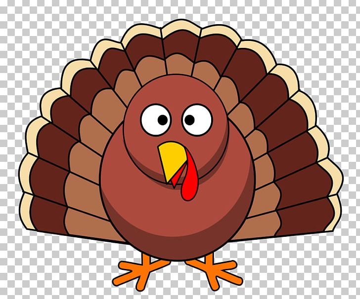 Turkey Thanksgiving Day Thanksgiving Dinner PNG, Clipart, Beak, Bird, Cartoon, Chicken, Christmas Free PNG Download