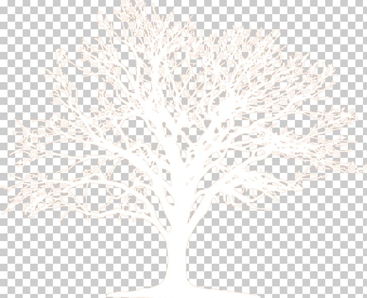 Branching PNG, Clipart, Branch, Branching, Dense Trees, Miscellaneous, Others Free PNG Download
