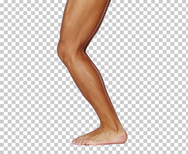 Human Leg Muscle Thigh Physical Exercise PNG, Clipart, Ankle, Arm, Bare, Bare Feet, Calf Free PNG Download