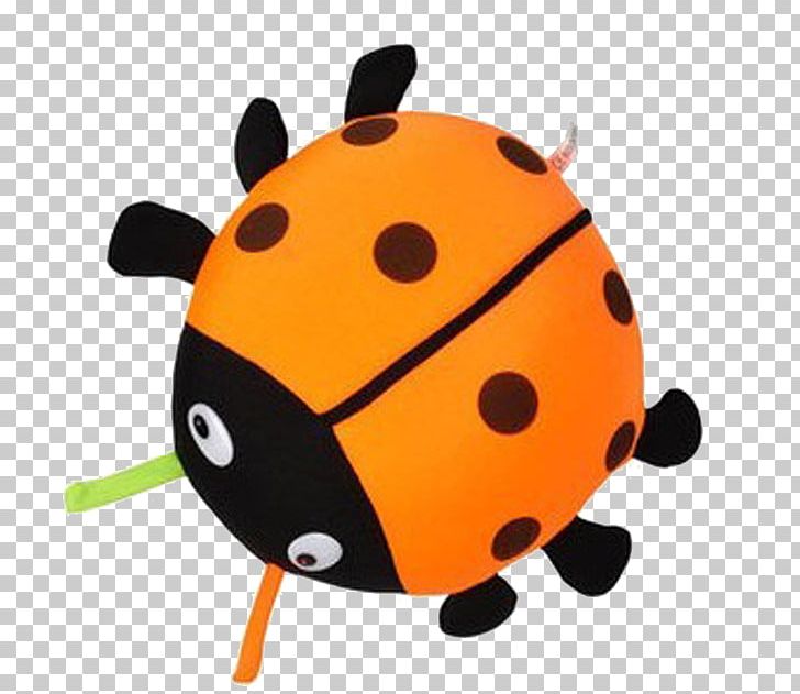 Ladybird Beetle Bamboo Charcoal Activated Carbon PNG, Clipart, Activated Carbon, Arthropod, Bamboo, Car, Carbon Free PNG Download