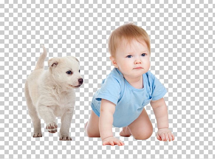 Old English Bulldog Puppy Skip Infant Child PNG, Clipart, Adult Child, Animal Euthanasia, Baby, Books Child, Carnivoran Free PNG Download