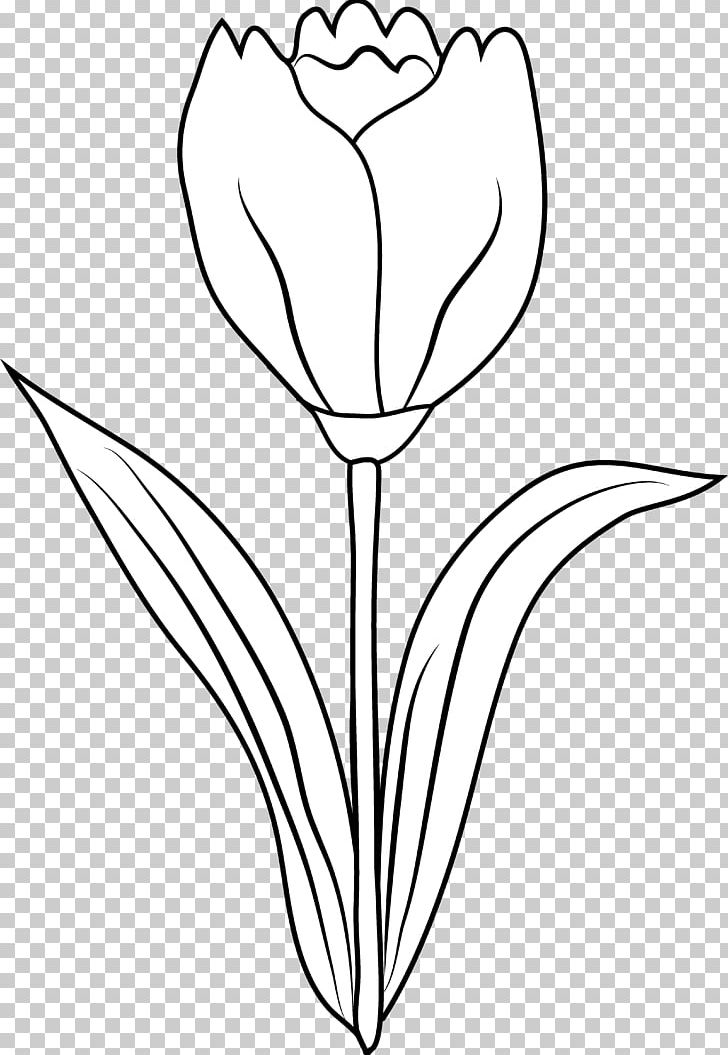 tulip outline clipart