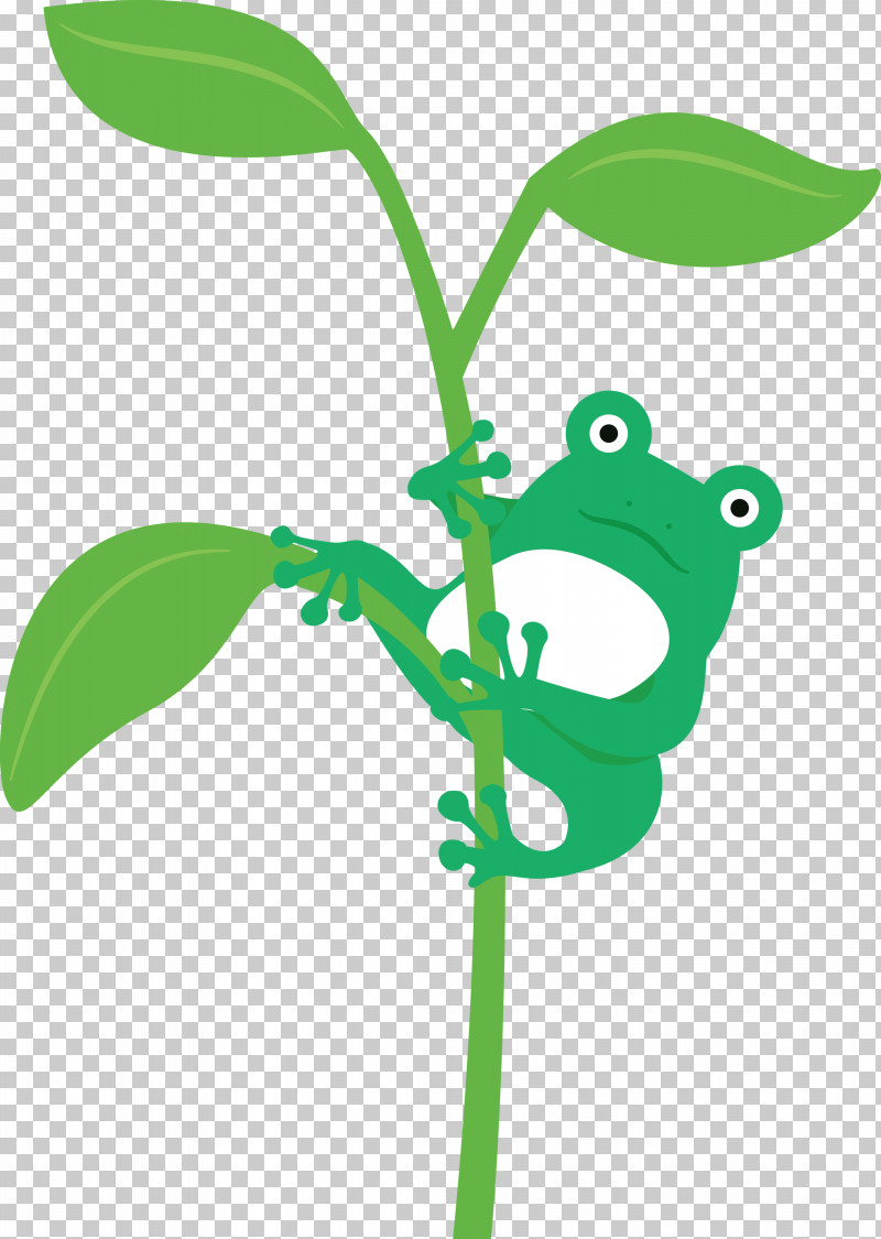 Frogs Leaf Tree Frog Plant Stem Meter PNG, Clipart, Branching, Cartoon, Frog, Frogs, Leaf Free PNG Download