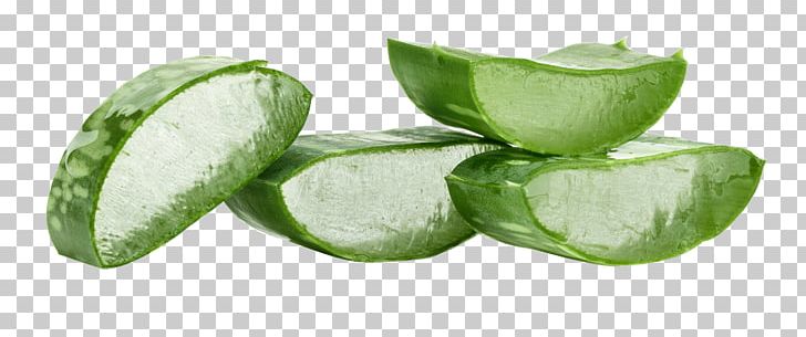 Aloe Vera Plant Wound Organism Green PNG, Clipart, Alo, Aloe, Aloe Vera Gel, Background Green, Beauty Free PNG Download