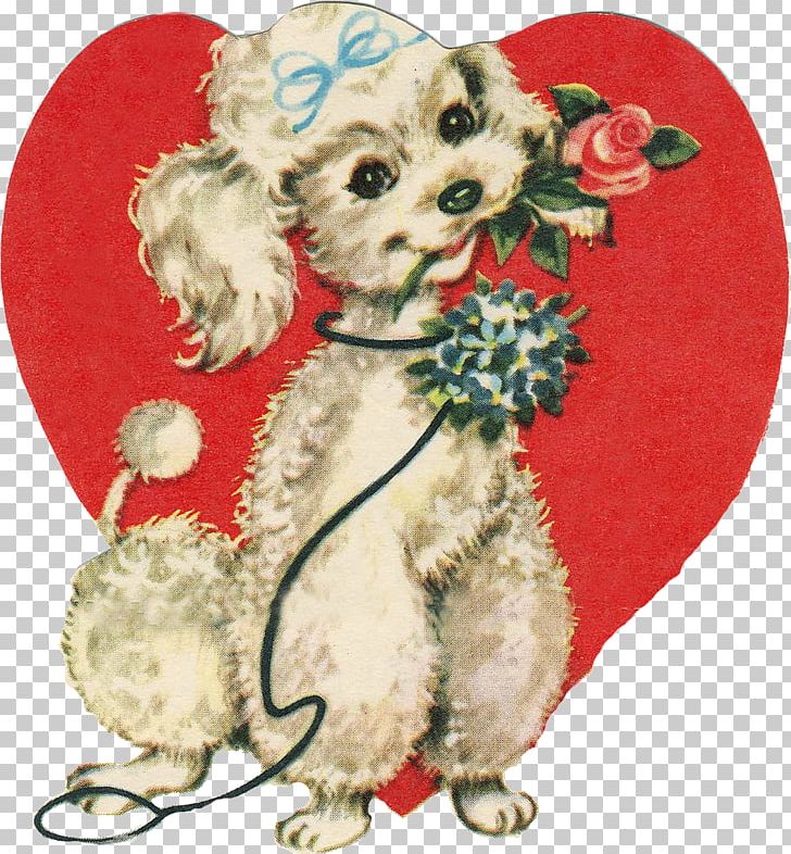 Standard Poodle Pug Dog Biscuit PNG, Clipart, Animals, Art, Bear, Canidae, Carnivoran Free PNG Download