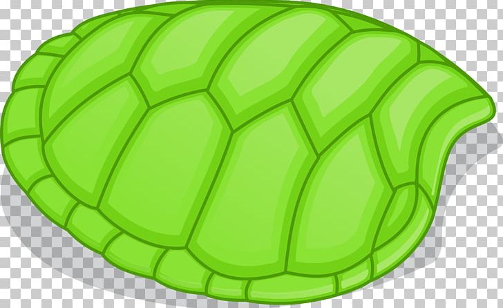 Turtle Shell PNG, Clipart, Animal, Animals, Ball, Clip Art, Football Free PNG Download