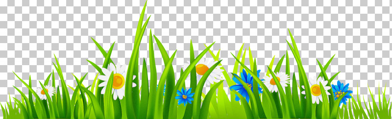 Royalty-free Lawn Grass Garden Green PNG, Clipart, Cc0 Licence, Garden, Grass, Green, Lawn Free PNG Download