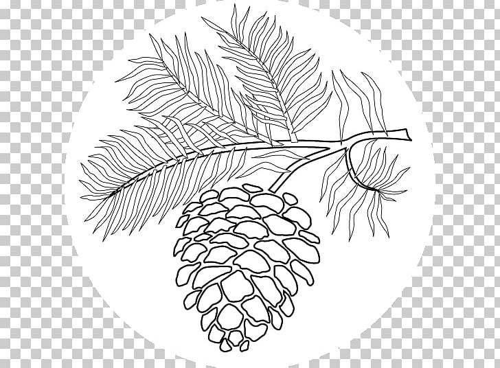 Conifer Cone Eastern White Pine Drawing PNG, Clipart, Artwork, Black And White, Branch, Coloring Book, Cone Free PNG Download