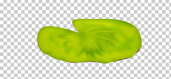 Green Fruit PNG, Clipart, Art, Fruit, Green Free PNG Download