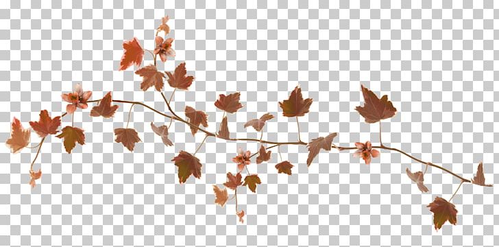 Autumn Leaf Color Autumn Leaf Color Desktop GIF PNG, Clipart, Autumn, Autumn Leaf Color, Branch, Computer Wallpaper, Desktop Wallpaper Free PNG Download