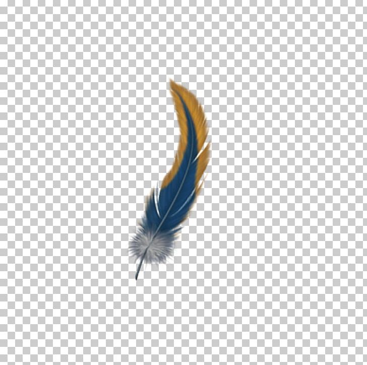 Feather PNG, Clipart, Angel Wing, Angel Wings, Blue, Chicken Wings, Eagle Wings Free PNG Download