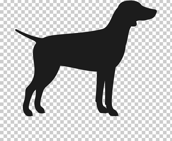Labrador Retriever Flat-Coated Retriever Dog Breed Puppy German Shorthaired Pointer PNG, Clipart, Ballet Dancer, Black, Carnivoran, Dog, Dog Breed Free PNG Download
