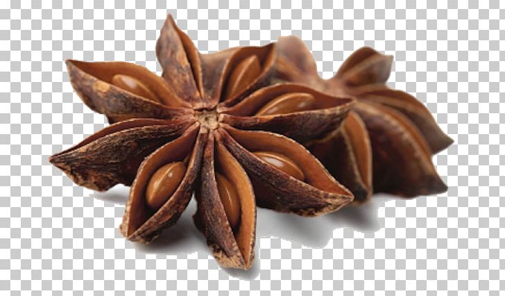 Masala Chai Star Anise Khodarji & More Spice PNG, Clipart, Anise, Cardamom, Chinese Cuisine, Fennel, Flavor Free PNG Download