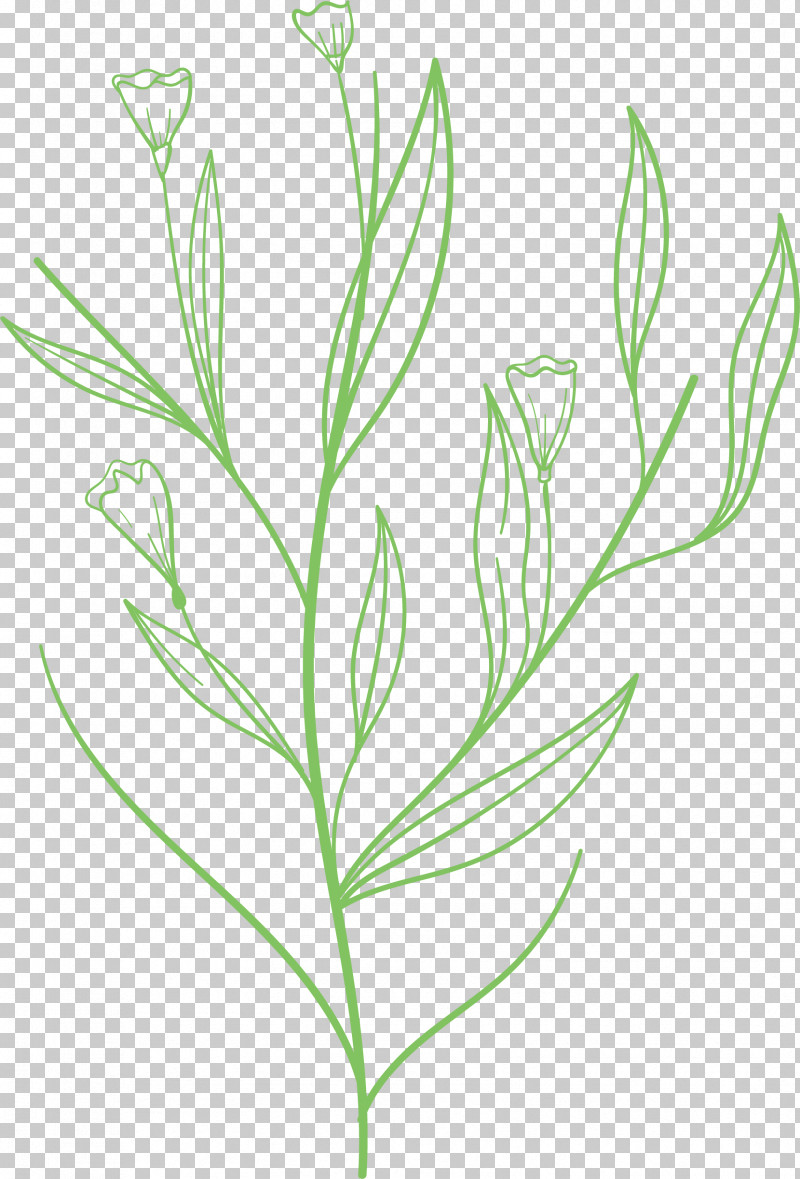 Simple Leaf Simple Leaf Drawing Simple Leaf Outline PNG, Clipart, Biology, Branch, Commodity, Flower, Grasses Free PNG Download