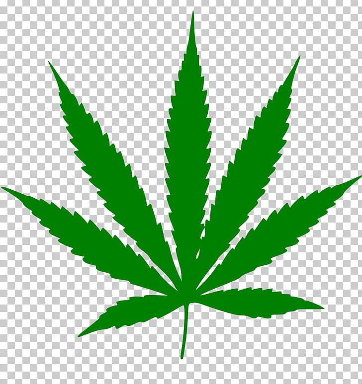 Cannabis Sativa Medical Cannabis Cannabidiol Cannabis Smoking PNG, Clipart, Adult Use Of Marijuana Act, Americans For Safe Access, Cannabis, Cannabis Png, Cannabis Shop Free PNG Download