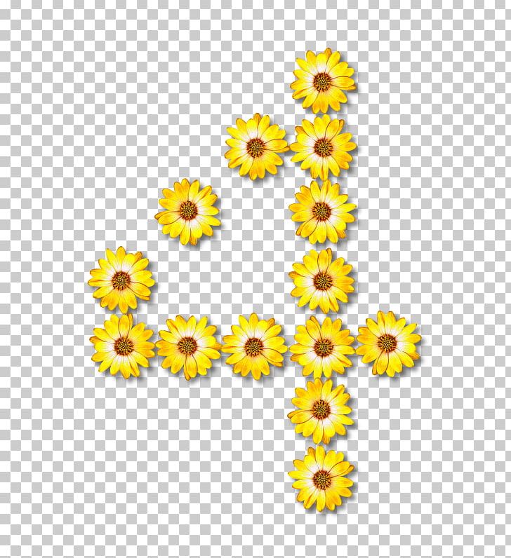 Common Sunflower PNG, Clipart, Alphabet, Border, Character, Chrysanths, Clip Art Free PNG Download