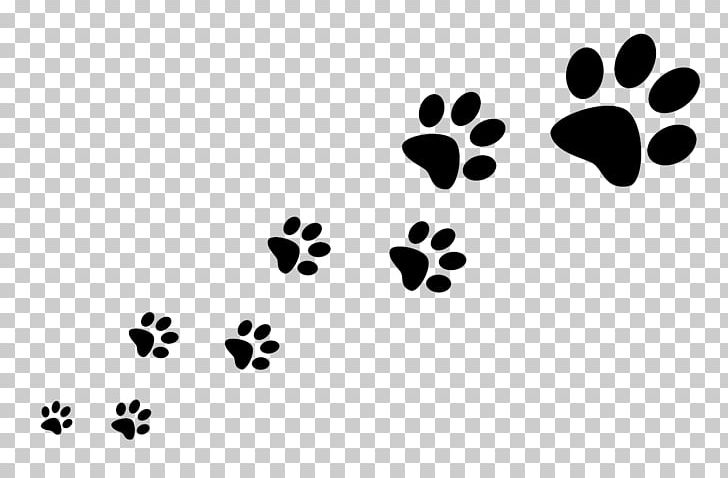 Dog Walking Pet Sitting Cat PNG, Clipart, Animals, Animal Shelter, Black, Black And White, Circle Free PNG Download