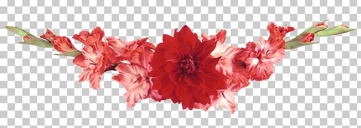 Flower Garden PNG, Clipart, Blog, Common Daisy, Espalier, Floral Design, Flower Free PNG Download