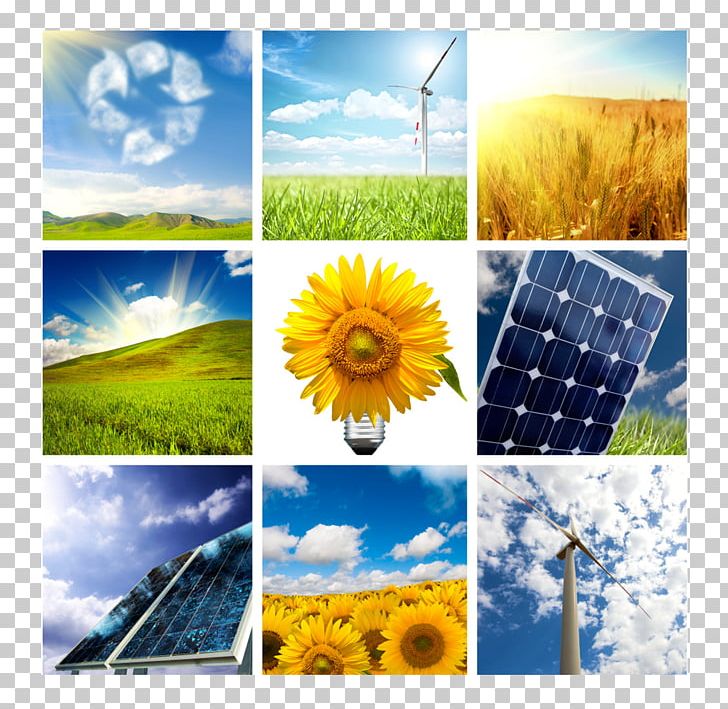 Renewable Energy Wind Turbine Wind Power Solar Energy PNG, Clipart, Collage, Company, Computer Wallpaper, Costi, Daisy Family Free PNG Download