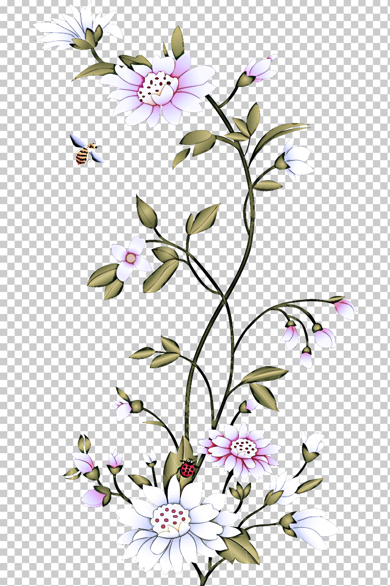 Flower Plant Pedicel Petal Cut Flowers PNG, Clipart, Cut Flowers, Flower, Pedicel, Petal, Plant Free PNG Download