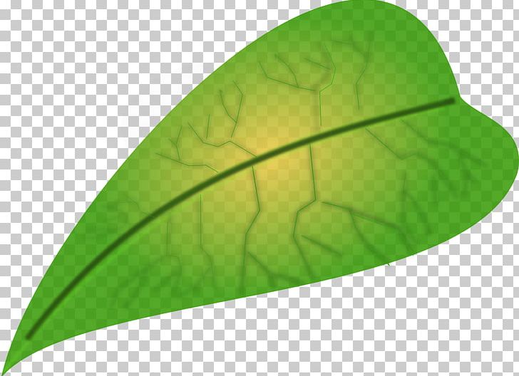 Leaf Apple PNG, Clipart, Apple, Autumn Leaf Color, Blog, Computer Icons, Download Free PNG Download