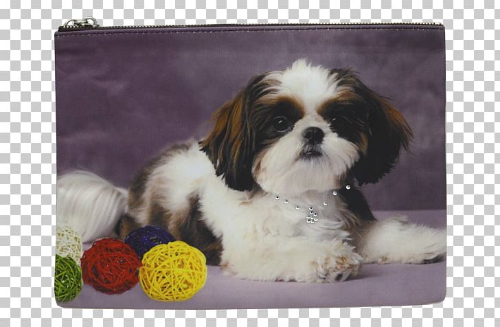 EL SHIH TZU Puppy Dog Breed Race PNG, Clipart, Animal, Carnivoran, Companion Dog, Dog, Dog Breed Free PNG Download