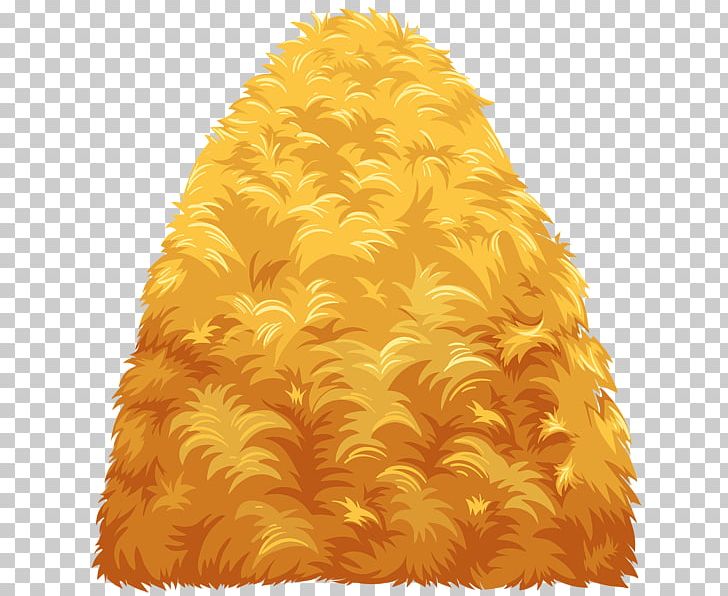 Haystack PNG, Clipart, Document, Encapsulated Postscript, Feather, Fur, Hay Free PNG Download