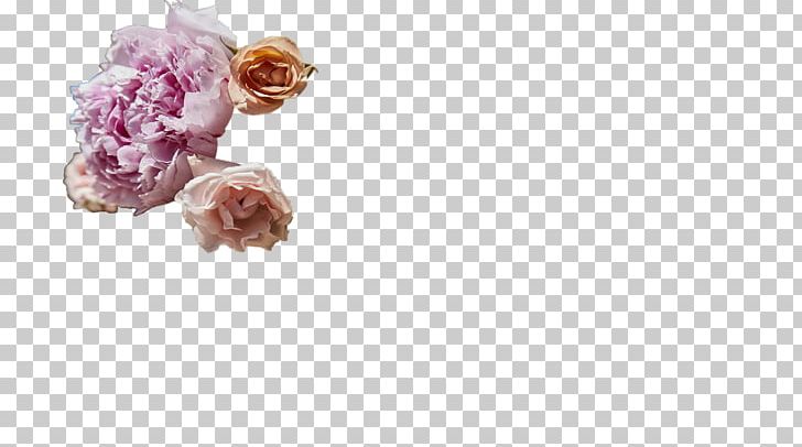 Cut Flowers Body Jewellery Petal Pink M PNG, Clipart, Body Jewellery, Body Jewelry, Cut Flowers, Flower, Jewellery Free PNG Download