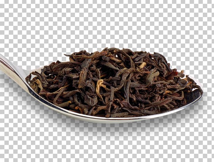 Dianhong Golden Monkey Tea Nilgiri Tea Darjeeling Tea PNG, Clipart, Assam Tea, Bai Mudan, Biluochun, Black Tea, Ceylon Tea Free PNG Download