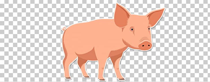 Pig Cattle Mammal Fauna Wildlife PNG, Clipart, Cartoon, Cattle, Cattle Like Mammal, Fauna, Livestock Free PNG Download