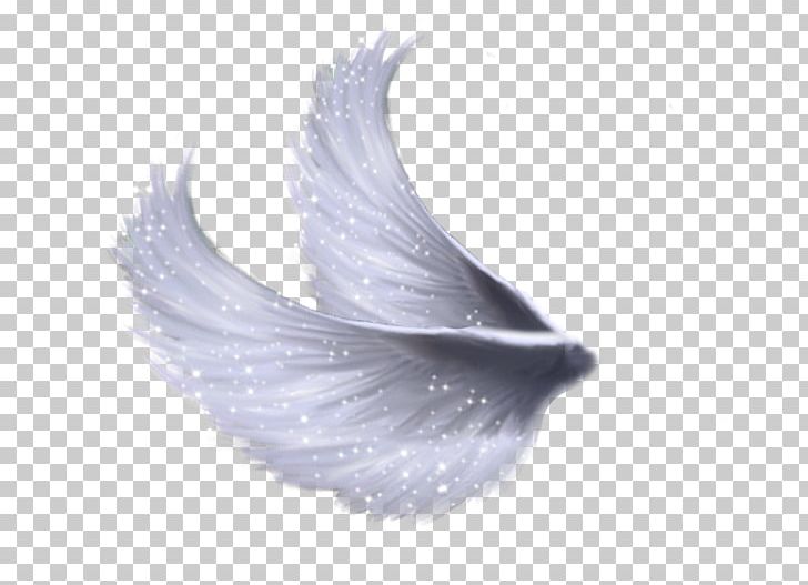 Others Wings Sticker PNG, Clipart, Angel, Deviantart, Fantasy, Feather, Miscellaneous Free PNG Download