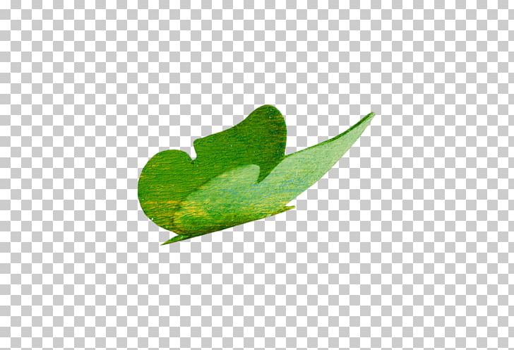 Leaf PNG, Clipart, Grass, Leaf, Plant, Saskia Free PNG Download