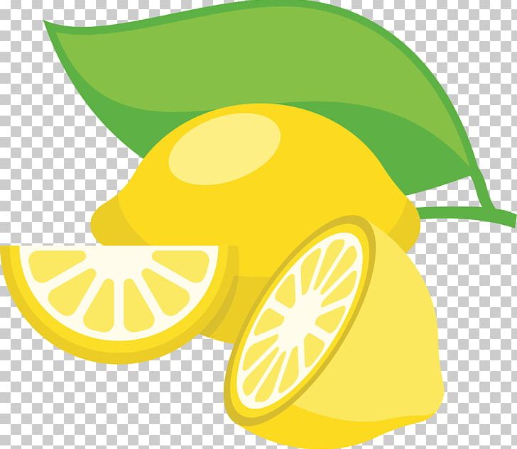 Lemon-lime Drink Citron Lemon-lime Drink PNG, Clipart, Citric Acid, Citron, Citrus, Drawing, Flowering Plant Free PNG Download