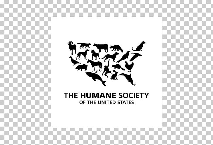 The Humane Society Of The United States Dog Animal Shelter PNG, Clipart, Animal, Animal Rescue Group, Animals, Animal Shelter, Animal Welfare Free PNG Download